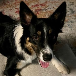 Meet your Posher, Rebecca